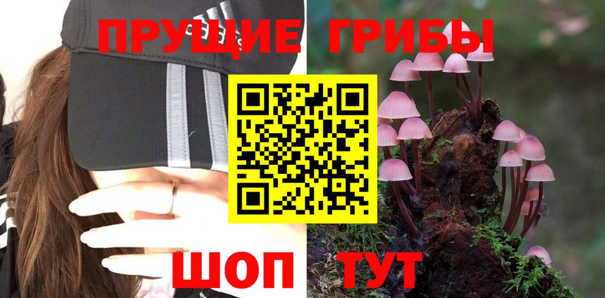 Псилоцибиновые грибы Magic Shrooms Партизанск